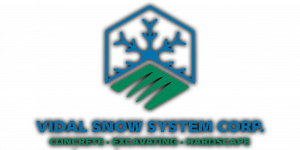 Vidal Snow System Logo