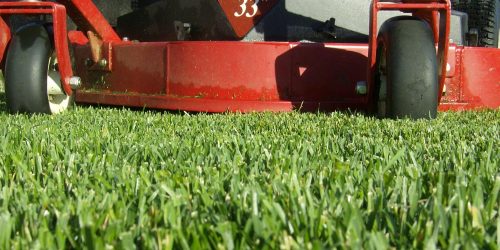 Lawn Maintenance - Weekly & Bi Weekly Service