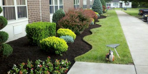Mulch Installation