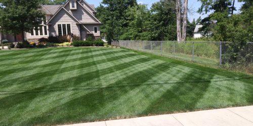 Lawn Maintenance - Weekly & Bi Weekly Service